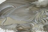 Polished, Striped Flint Slab - Poland #149904-1